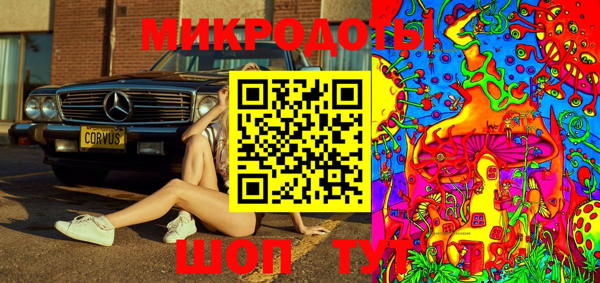 Балтийск  Псилоцибиновые грибы GOLDEN TEACHER  Вход с VPN  Галлюциногенные грибы MAGIC MUSHROOMS 