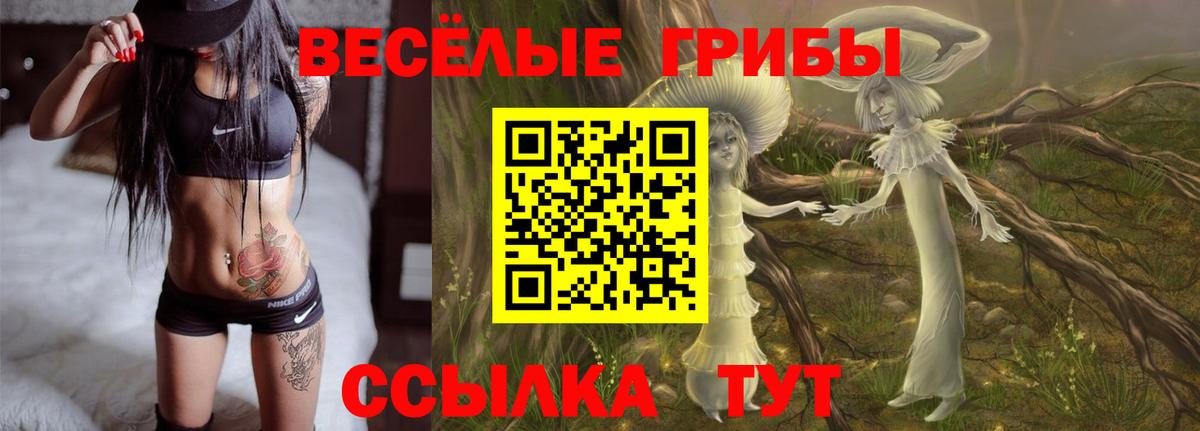 Галлюциногенные грибы GOLDEN TEACHER Балтийск