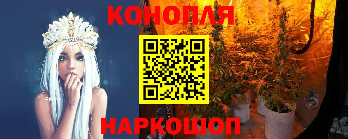 МАРИХУАНА конопля Балтийск