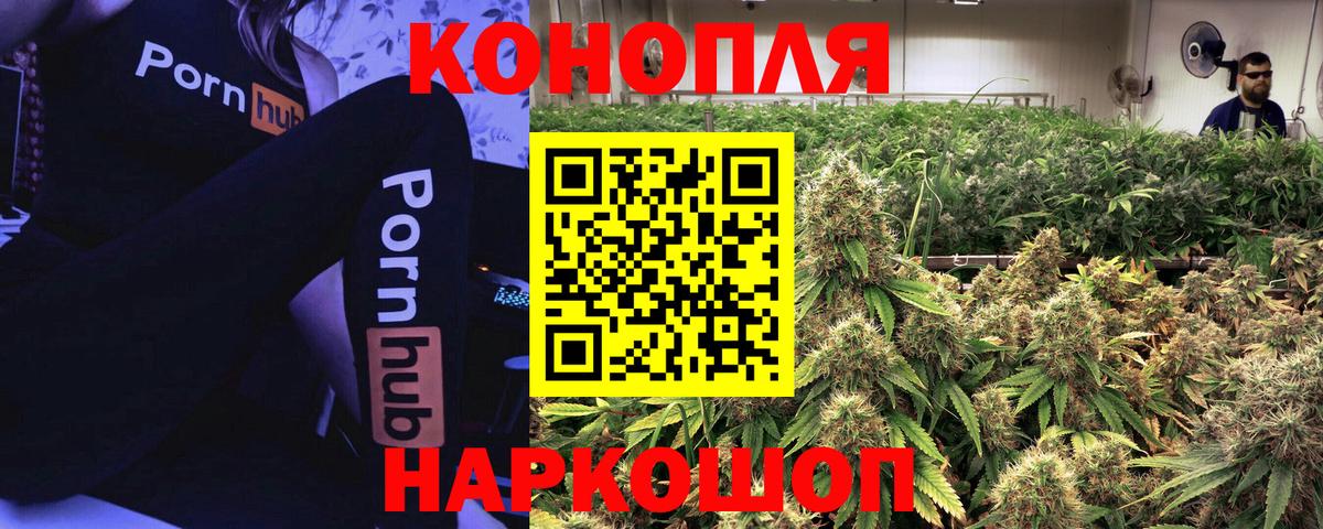 Бошки Шишки SATIVA & INDICA  Марихуана план  Бошки марихуана тримм  Балтийск  Вход с VPN 